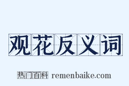 观花反义词是什么意思的图片